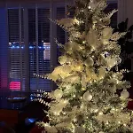 Waterfront Am Main, 15 Min Frankfurt Airport, Terrasse, Free Parking 아파트 *