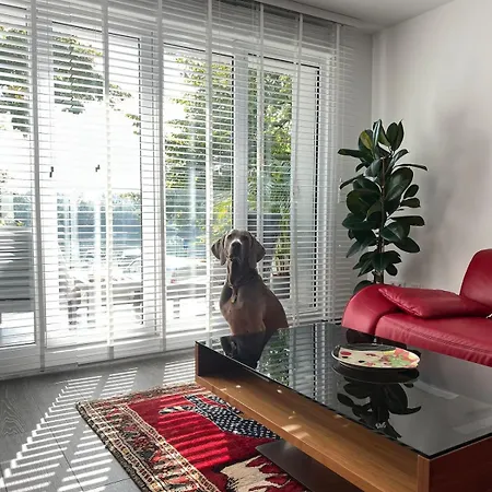 Modernes Wasserfront Wohnung, Terrasse, Parkplatz Floersheim am Main