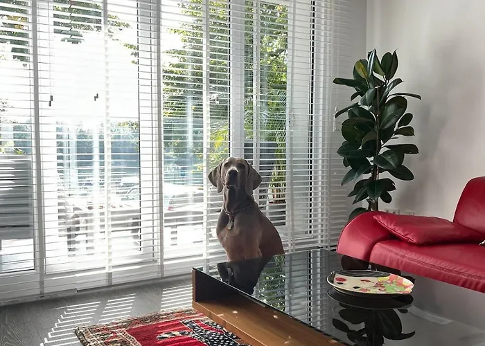 Modernes Wasserfront Wohnung, Terrasse, Parkplatz Flörsheim am Main